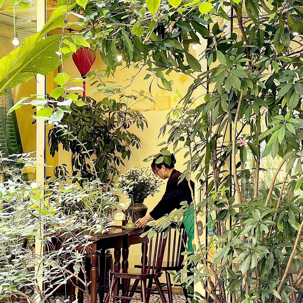ảnh Senté (Nguyen Quang Bich Street)